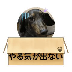 [LINEスタンプ] くれあだるだるスタンプ