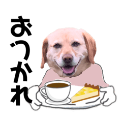 [LINEスタンプ] ラブビーグルきなこ