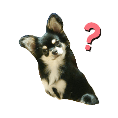 [LINEスタンプ] 犬のチョコ君7♡