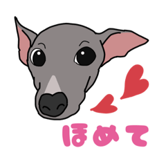 [LINEスタンプ] イタグレのジーナさん