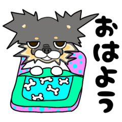 [LINEスタンプ] 自称チワワ部代表。