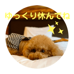 [LINEスタンプ] マロンのささやき
