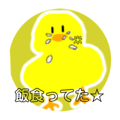 [LINEスタンプ] ヒヨコの生活スタンプ