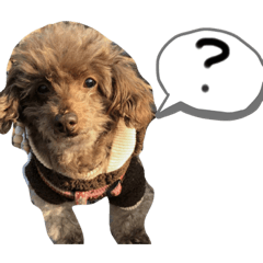 [LINEスタンプ] ちろるです。