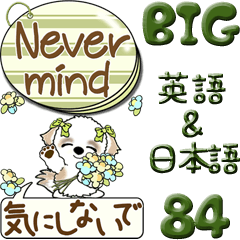 [LINEスタンプ] 【Big】シーズー犬 84『英語＆日本語』の画像（メイン）