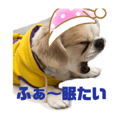 [LINEスタンプ] 伍助ちゃんスタンプ