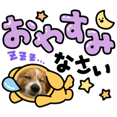 [LINEスタンプ] koron 2