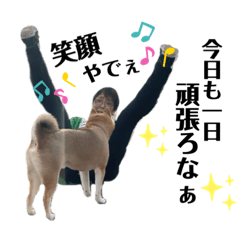 [LINEスタンプ] CNK隊♥︎わんこ