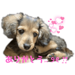 [LINEスタンプ] むにちゃま！