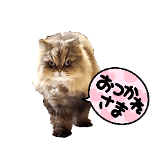 [LINEスタンプ] タフィーとジョイのお家