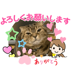 [LINEスタンプ] 起きて朝だよ