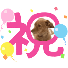 [LINEスタンプ] どでかファミリー