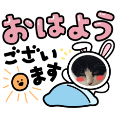 [LINEスタンプ] NEKONEKOちゃん