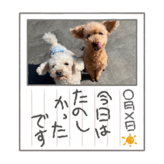 [LINEスタンプ] ク〜ラテ