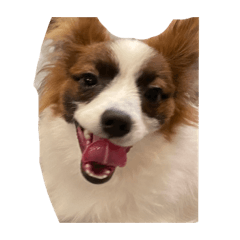 [LINEスタンプ] ふぉびぃちーず