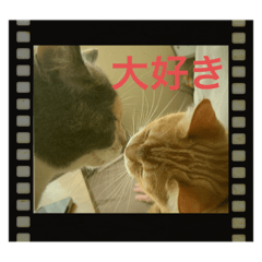 [LINEスタンプ] みらちゃい