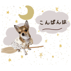 [LINEスタンプ] URIsan☺︎