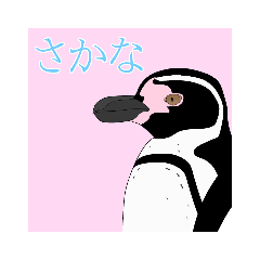 [LINEスタンプ] 今日のペンギンシリーズ