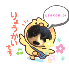 [LINEスタンプ] はじめてのおつかいにゃん