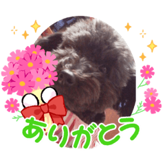 [LINEスタンプ] 愛犬のももきっち