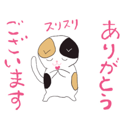 [LINEスタンプ] 猫のような日常