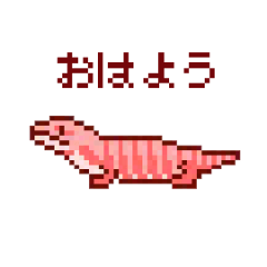 [LINEスタンプ] ドットあにまるず