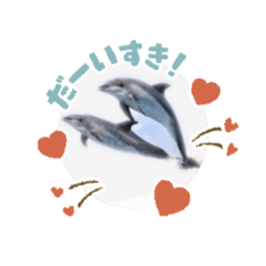 [LINEスタンプ] 動物  水族館スタンプ