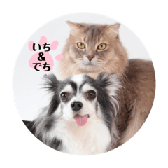 [LINEスタンプ] いち＆でち