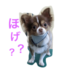 [LINEスタンプ] チップのほげ