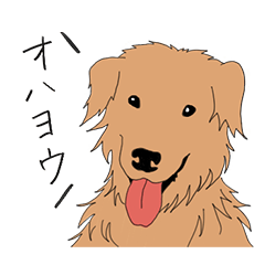 [LINEスタンプ] ゴールデンワンコ