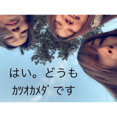 [LINEスタンプ] カツオカメダ2
