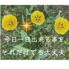 [LINEスタンプ] 今日一日、、