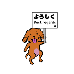 [LINEスタンプ] 犬です…えっ⁉︎、トイプードルですけど…