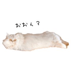 [LINEスタンプ] ミーコのゆるいつぶやきスタンプ