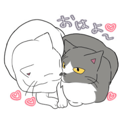 [LINEスタンプ] ねこの集まり！