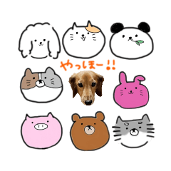 [LINEスタンプ] ひでお with あにまるず