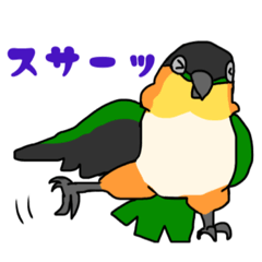 [LINEスタンプ] ズグロシロハラインコ！2