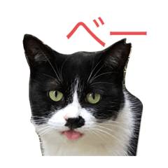 [LINEスタンプ] さくら猫ころすけ