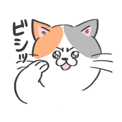 [LINEスタンプ] 表情がコロコロ変わるネコの日常！(再販)