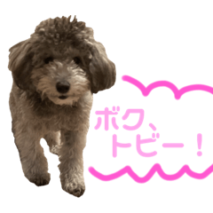 [LINEスタンプ] トビスタ