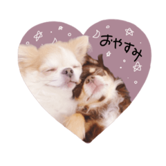 [LINEスタンプ] ♡とも様