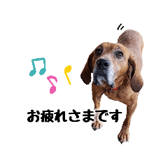 [LINEスタンプ] まさごろうの王国．