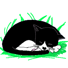 [LINEスタンプ] 地域猫 ころすけ