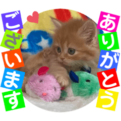 [LINEスタンプ] ねこまーち さくらプリンセス