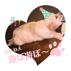 [LINEスタンプ] いとしのバロンくん①