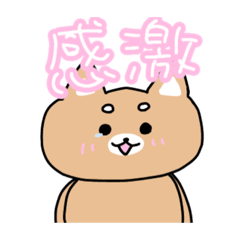 [LINEスタンプ] 毎日柴犬ฅ´•ᴥ•`ฅ