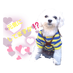 [LINEスタンプ] 優くんのお家