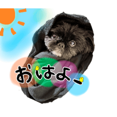 [LINEスタンプ] ふぁみ犬♡の画像（メイン）