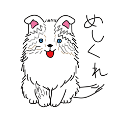 [LINEスタンプ] 表情豊かなシェルティ