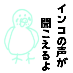 [LINEスタンプ] インコの声が聞こえるよ